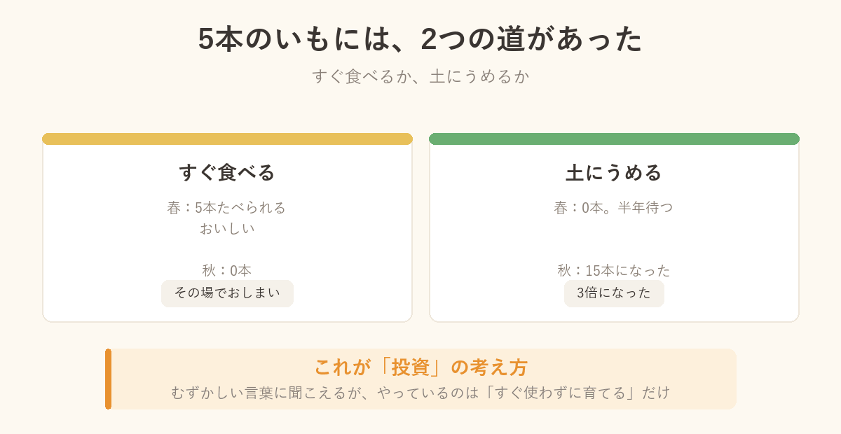 5本のさつまいもの2つの道を比べた図解。すぐ食べると秋には0本、土にうめると15本になった