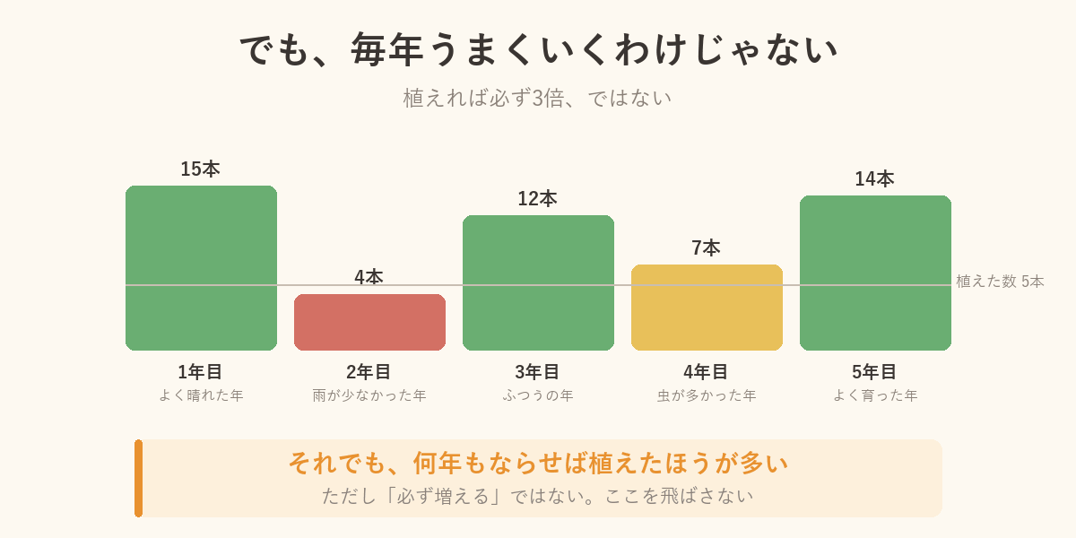 5年ぶんのさつまいもの収穫量の棒グラフ。よく育った年もあれば、雨が少なく4本しか採れなかった年もある