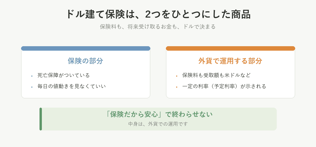 ドル建て保険は、死亡保障がつく保険の部分と、保険料も受取額もドルで決まる外貨で運用する部分を、ひとつにした商品